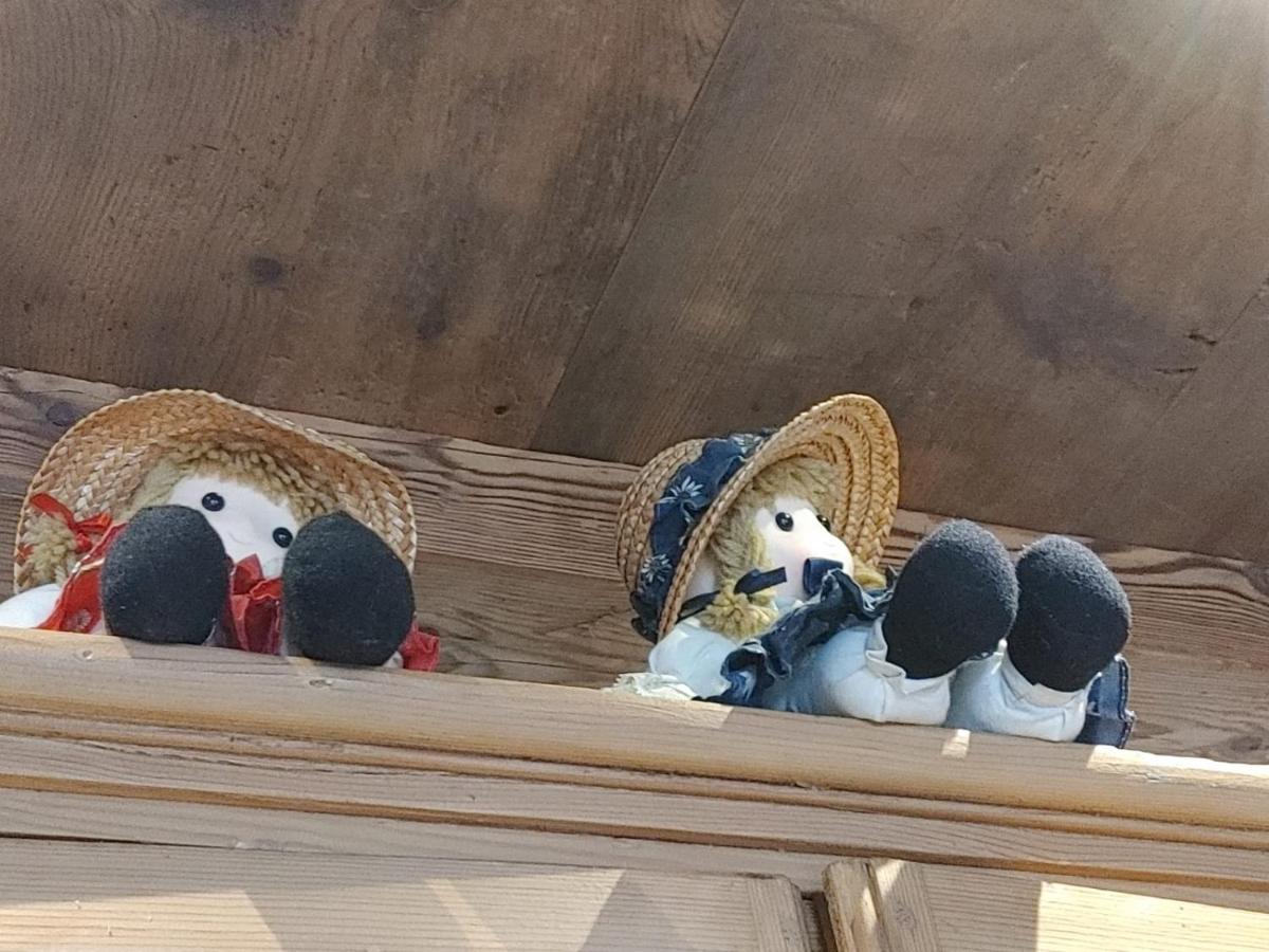 B&B A Ceda Toa San Pietro di Cadore Zewnętrze zdjęcie